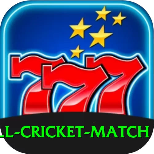 all cricket match Plus Edition v1.2.5 - 2