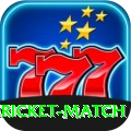 all cricket match Plus Edition v1.2.5