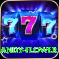 andy flower Deluxe v3.7.7