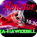 antigua hawksbill Plus v1.8.9