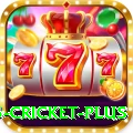 bet365 cricket Premium - Casino & Slots