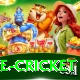 bpl live cricket Pro v4.5.7