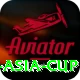 cricbuzz asia cup VIP v1.7.1