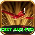 cricket aus Pakistan Max v1.7.9