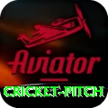 cricket pitch Apps (Tools & Injectors) Max v3.4.5