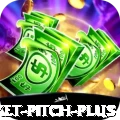 cricket pitch Royal Gaming App