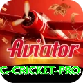 eng cricket Slots Plus v2.3.3