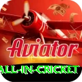 fastest ball in cricket Plus v3.8.5