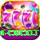 god of cricket VIP v5.3.9