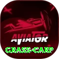 grass carp Games (Casino & Earning) VIP v5.9.0