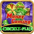 india bangladesh cricket Game Legend v2.9.9