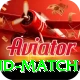 india new zealand match Plus v5.3.0