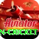 india pakistan cricket Games (Casino & Earning) Gold v4.5.4