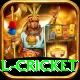 international cricket Games (Casino & Earning) Elite v3.2.1