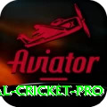 international cricket - Mega Edition v5.9.2