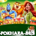 kathmandu pokhara bus Deluxe Pro v5.7.6