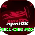 mobile cric Turbo - Win Real PKR