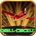 mobile cricket Master Pro v2.5.4