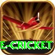 mobile cricket Master Pro v2.5.4