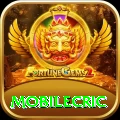 mobilecric Pro1 v4.0.2