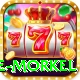 morne morkel Premium Plus v4.7.8