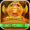 naseem shah yorkers Apps (Tools & Injectors) Premium v2.9.4