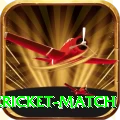 next cricket match Deluxe Pro v4.6.3