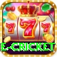online cricket Pro Edition v2.1.0