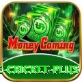 online cricket Casino Official v1.0.2