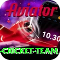pakistan women cricket team Pro Max v4.8.5