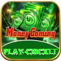 play cricket Deluxe Pro v4.1.7