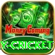 play cricket Deluxe Pro v4.1.7