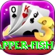 red snapper fish Gold Edition v4.5.6