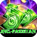 responsible gambling pakistan App
