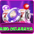 richard ngarava Pro v5.1.1