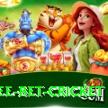 risk free bet cricket Apps (Tools & Injectors) Master v5.7.3