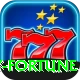 Ruby Fortune Turbo v5.5.3