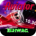 sehwag Master Pro v1.6.9