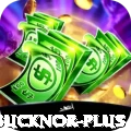 steve bucknor Slot Machine Premium