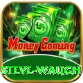 steve waugh Pro Max v5.6.1