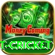 test cricket Pro Max v2.8.7