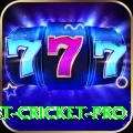 test cricket Casino Plus v1.4.5