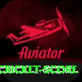 test cricket score Pro Edition v3.8.1