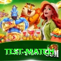 test match Apps (Tools & Injectors) Premium v5.0.6