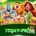 tojay Games (Casino & Earning) Gold v5.8.8