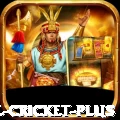 watch live cricket Casino Premium v2.5.3