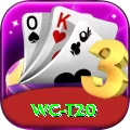 wc t20 Max v4.9.8