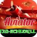 world t20 schedule Plus v5.6.0